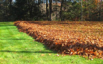 Leaf Removal - Free Estimates